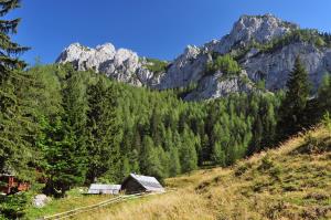 Raduha - avtor fotografije Boris Keber
