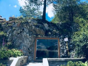 Skalna votlina z medvedom in plezalna pot čez skalo