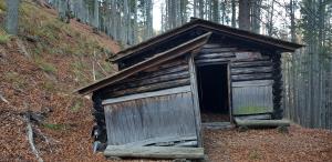 Partizanska bolnišnica B/11B