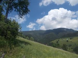 Planinsko turistična kmetija Kumer Foto: Marko Kumer