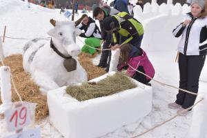 84249070_2585889848356574_5008706279804239872_n