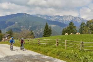 Kolesarjenje Foto: Ivan Pisar Vir: RRA Koroška